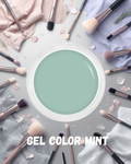 Gel Color Mint PurnimaNails™ - 5ml